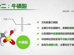 牛磺酸的作用(牛磺酸的作用是什么？)