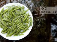 蒙顶石花(昔日帝王茶—蒙顶石花)