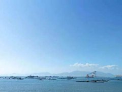 阳江旅游景点(阳江海陵岛最值得去的十大海滩)