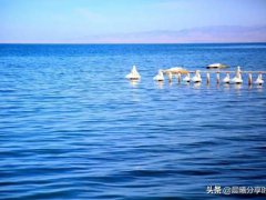 中国最大的湖(中国最大的湖泊—青海湖)