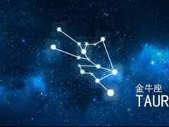 12星座分析(最全十二星座性格分析)