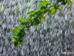 雨的形成(雨是怎样形成的形成过程是怎样的)