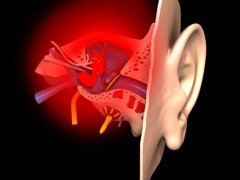 外耳炎的原因是什么？(解析外耳道炎症状和原因)