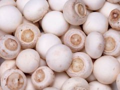 双孢蘑菇(双孢菇5种最好吃的做法)