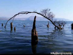 己所不欲勿施于人(论语史鉴：己所不欲，勿施于人！)