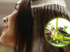 食用橄榄油护发(巧用橄榄油能护发养发)
