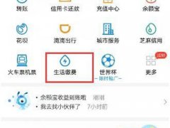 网上交电费(手机交电费怎么交？)