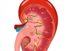 肾不好的表现(肾不好的8个信号)