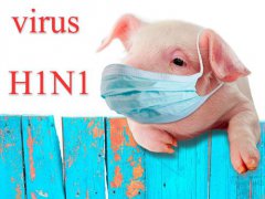 甲型h1n1流感症状(甲型H1N1流感有什么症状？)