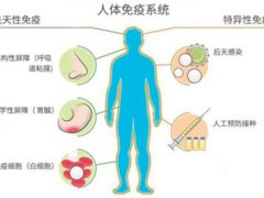 生物治疗效果(什么是生物治疗)