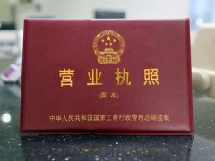 办营业执照需要什么资料(办营业执照去哪里办理？)