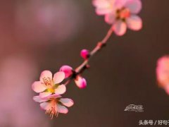 动情的话(世间最动情的句子摘抄)