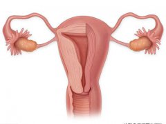 上环后多久可以性生活(女性上环之后要注意什么？)