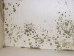 外墙漏水(外墙漏水是什么引起的？)