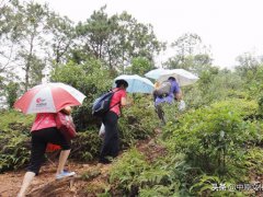 重阳节登高(重阳节为什么要登高呢？)