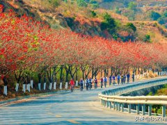 攀枝花景点(攀枝花旅游不能错过的12个景点)