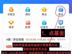 新手怎样学习炒基金最快上手(基金基本入门)