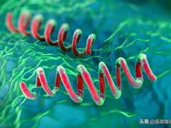 梅毒传播途径(梅毒是通过什么途径来传染？)