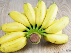 芭蕉香蕉？(“香蕉”和“芭蕉”有什么区别？)