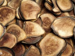 鹿茸的功效与作用吃法1(鹿茸的功效、作用与最全的食用方法)