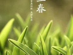 躲春可以玩手机吗？(什么是“躲春”如何“躲春”)