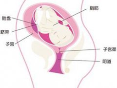 怀孕31周注意事项(怀孕第三十一周的重要事项和营养美食)