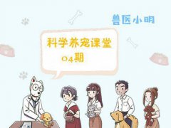 狗狗大便带血？(狗狗便血了怎么办？)