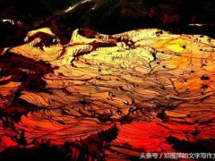 弟子规读后感300字(学习《弟子规》有感！)