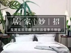 新装修的房子放什么植物(新房装修后放什么植物好？)