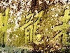 龙井茶的来历(西湖龙井的由来)