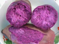 紫薯的功效和作用(紫薯和白薯有什么区别)