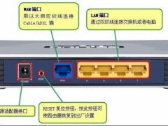 路由器和猫(上网的猫和路由器的区别)