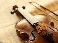 小提琴有几根弦(小提琴弦分别有什么特点？)