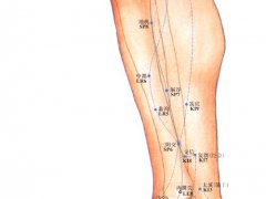 三阴交的位置(保健名穴——三阴交)