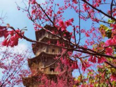 五一节祝福语怎么说(五一节快乐祝福语句子说说)