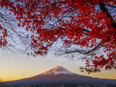 日本旅游景点介绍(日本旅游必去景点)