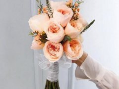 元旦祝福的话(最美元旦祝福语)