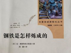 钢铁是怎样炼成的读书笔记(钢铁是怎样炼成的读书笔记700字)