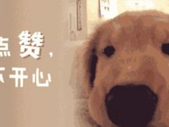 冲奶粉的水温(冲奶粉的水温多少度最好？)