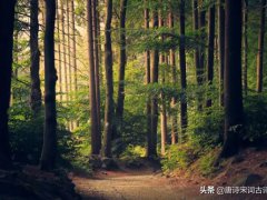 经典励志情诗绝句大全(35句励志经典诗词)