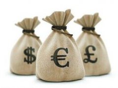 政府债和企业债的区别(政府债券与公司债券)