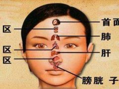 山根有横纹(鼻子上这里出现横纹)