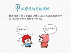 双顶径是什么意思(什么是双顶径)