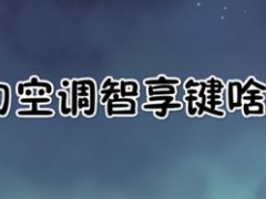 格力空调e享是什么意思？(格力空调智享键啥意思)