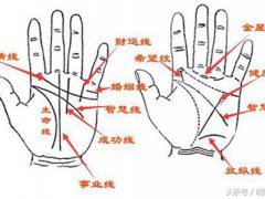 手纹看相(手相纹路看事业财运)