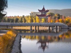 夏天去哪里旅游最好(最适合夏天出游的7座城市呢)