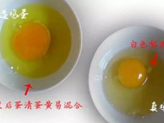 怎么识别假鸡蛋(如何辨别“真假”鸡蛋？)