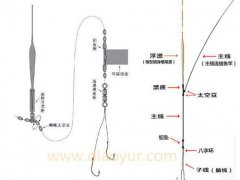 鱼线的绑法图解(鱼线种类及线组的绑法详细图解)