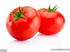 冬天吃什么好(冬季吃什么对身体好？)