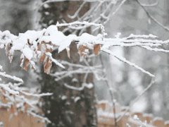 冬季拍婚纱照去哪里好？(冬天去哪里拍婚纱照？)